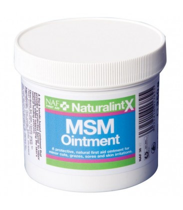 Мазь для заживления порезов, ссадин, ранок и раздражений "NaturalintX MSM Ointment", 250г.