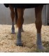 Шкарпетки Incrediwear Equine Circulation