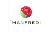 Manfredi 