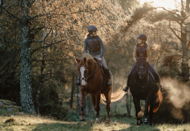 В ЧЕМ ЕЗДИТЬ НА ЛОШАДИ: КРАТКИЙ ГИД ПО ЭКИПИРОВКЕ